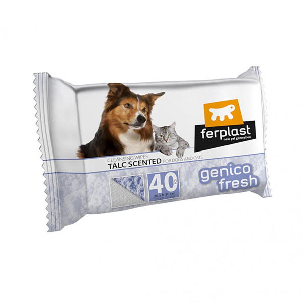 Imagen de TOALLITAS TALC SCENTED FP