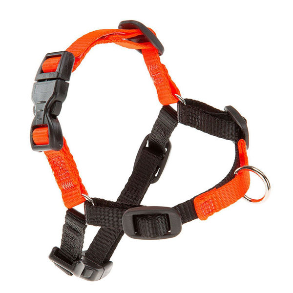 Imagen de Pechera de Entrenamiento Coach Ps Naranja