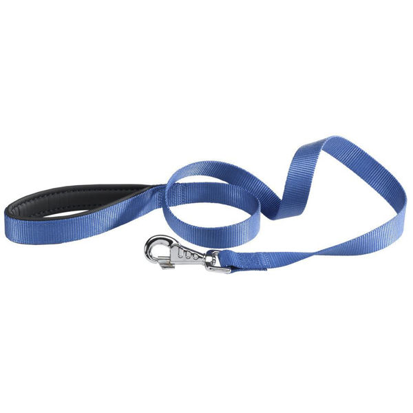 Imagen de CORREA DAYTONA G25/120 BLU