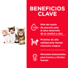 Imagen de HILLS Gatito Healthy Development 3,2 kg