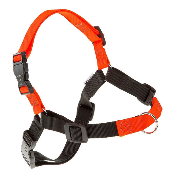 Imagen de PECHERA COACH P/M NARANJA