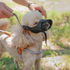 Imagen de BOZAL PERRO REGULABLE MINI