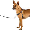 Imagen de PECHERA COACH L BLU