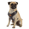 Imagen de PECHERA NIKITA FASHION M NEGRA