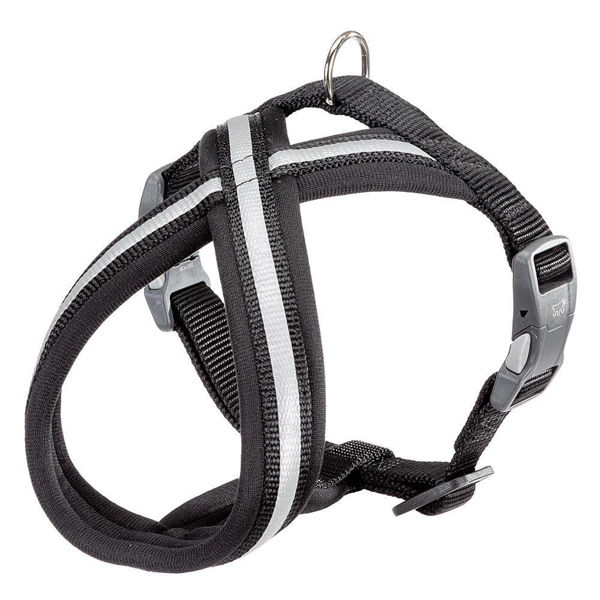 Imagen de Arnés Perro Daytona Cross Large