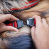 Imagen de Arnés Perro Daytona Cross Large