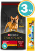 Imagen de PRO PLAN  Perro Adulto Raza Pequeña 3kg + Dentastix