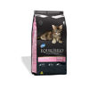 Imagen de EQUILIBRIO Gatito 1,5 kg +  Salsa