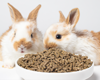 Imagen de Alimento para Conejo 5kg