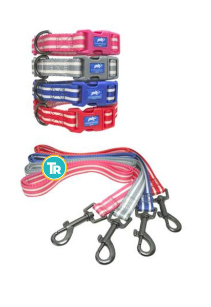 Imagen de COLLAR + CORREA P/MASCOTAS L 2.0CM X 35-50CM / 2.0CM X 90CM (CHINA)