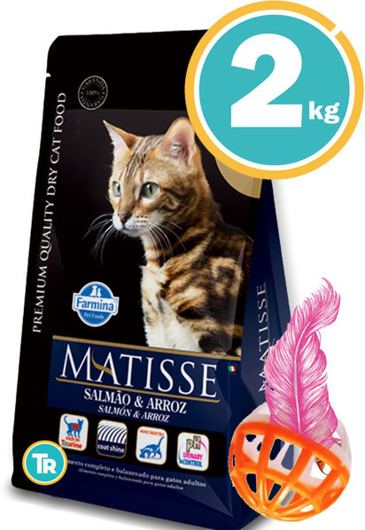 Imagen de MATISSE Gato Salmón y Arroz 2 kg + Pelota