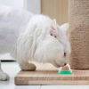Imagen de GOLOSINA PARA GATO