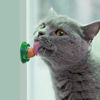 Imagen de GOLOSINA PARA GATO