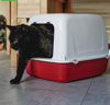 Imagen de Baño Bandeja Sanitaria para Gatos CLEAR CAT 10