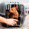 Imagen de Transportadora de Mascotas - JET 20