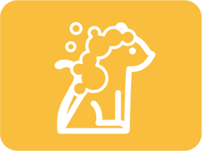 Imagen para la categoría Salud y Aseo