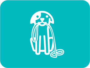 Imagen para la categoría Accesorios y Juguetes