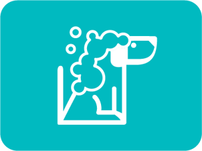 Imagen para la categoría Salud y Aseo