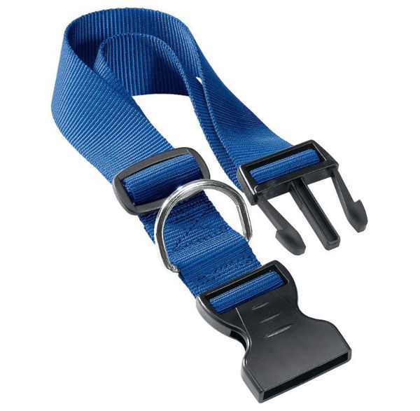 Imagen de COLLAR CLUB C25/70 AZUL