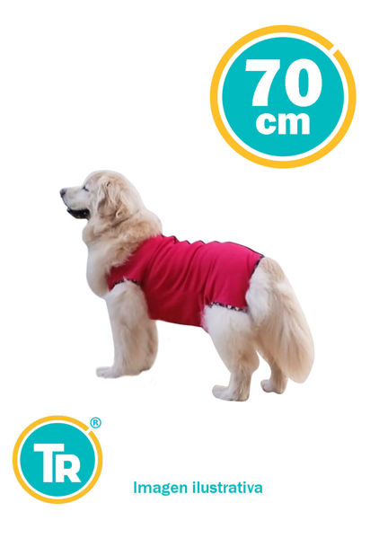 Imagen de ROPA POSTQUIRURJICA MACHO TALLE Nº 10