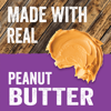 Imagen de EVOLVE PEANUT BUTTER Y BLUEBERRY X453GR