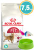 Imagen de ROYAL CANIN Gato Feline Fit 32 7,5 Kg + Ratón