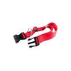 Imagen de COLLAR CLUB C10/25 ROJO