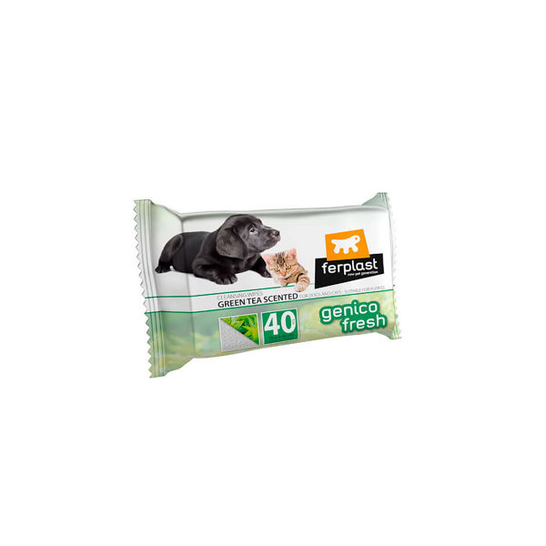 Imagen de Toallitas Detergente Green Tea Scented FP