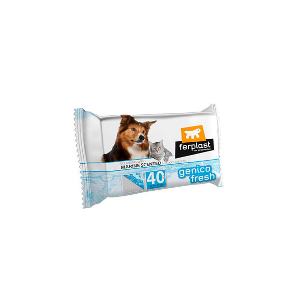 Imagen de Toallitas Marine Scented FP