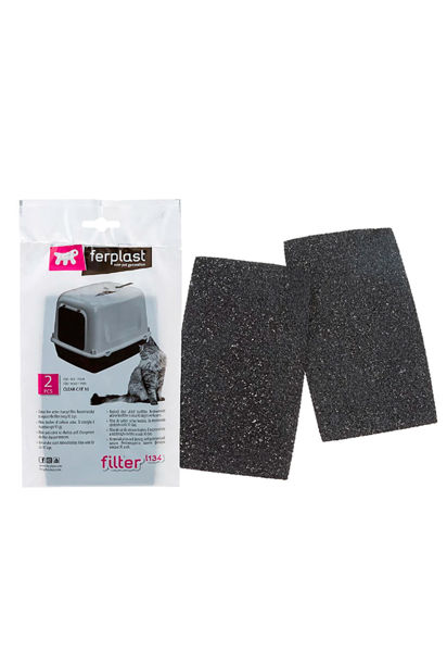 Imagen de Filtro Carbon para Baño Cerrado L 134