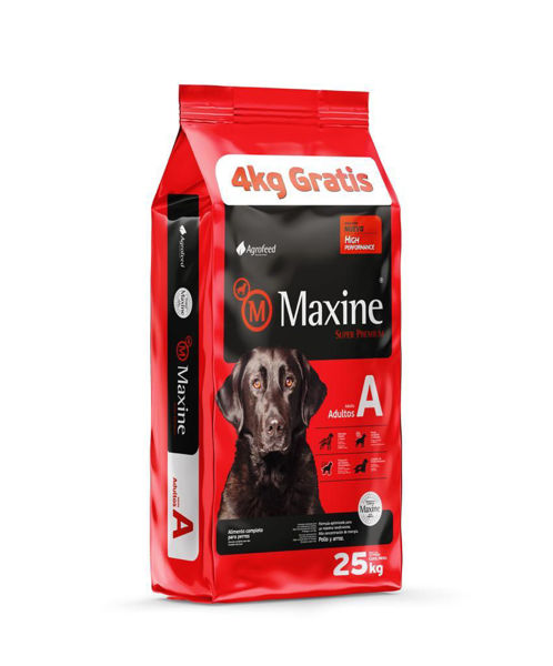 Imagen de MAXINE ADULTO 21 + 4KG