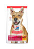 Imagen de HILLS Adulto Original 15kg + BolsasTR