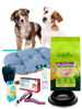 Imagen de COMBO BIENVENIDA CACHORRO ESPECIAL