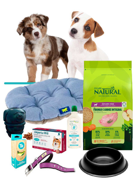 Imagen de COMBO BIENVENIDA CACHORRO ESPECIAL
