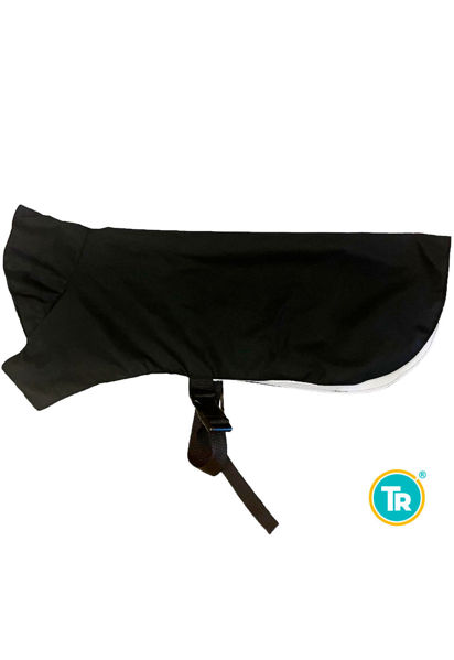 Imagen de CAPA GABARDINA CON CUELLO IMPERMEABLE TALLE 5