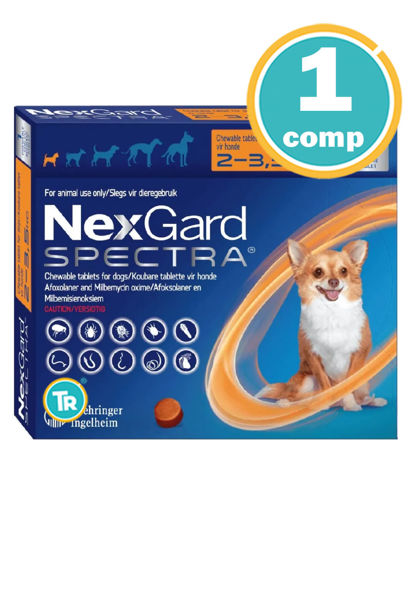 Imagen de NEXGARD SPECTRA PERROS  2 a 3,5 Kg
