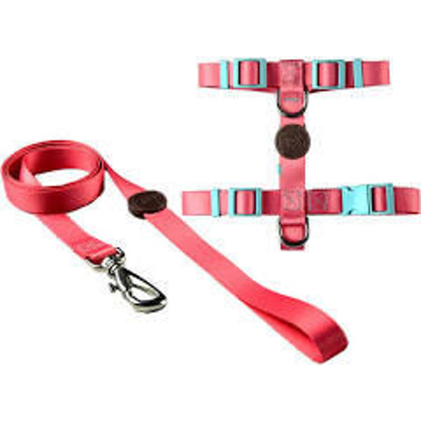Imagen de ARNES H + CORREA TOH TALLE S ROSA