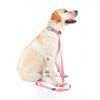 Imagen de COLLAR + CORREA TOH TALLE M ROSA