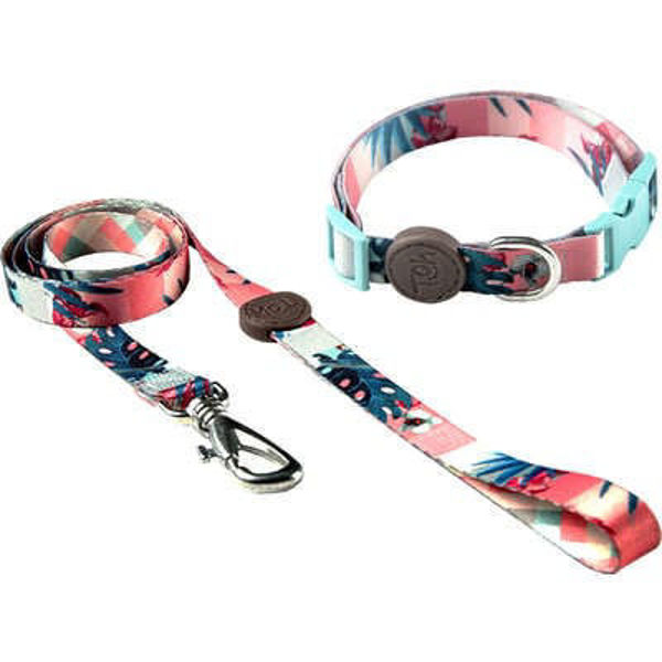 Imagen de COLLAR + CORREA TOH TALLE S LAGUNA