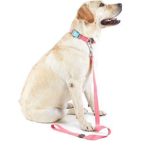 Imagen de COLLAR + CORREA TOH TALLE S ROSA