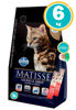 Imagen de MATISSE Alimento Gato Salmón y Arroz 6kg