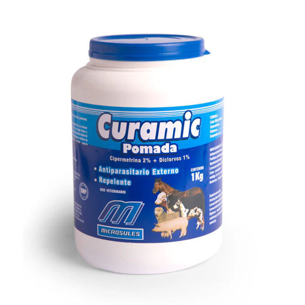 Imagen de CURAMIC POMADA 100GR