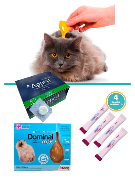 Imagen de COMBO CHAU PULGAS Y PARÁSITOS GATOS + 4kg: Pipeta + 1 Comp. Antiparasitario + Snack