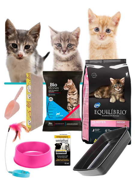 Imagen de COMBO BIENVENIDA GATITOS