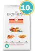 Imagen de BIOFRESH Alimento Senior Razas Pequeñas 10 kg