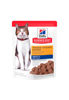 Imagen de SALSA HILLS GATO ADULT +7 80GR