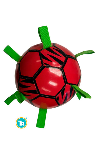 Imagen de Pelota de Fútbol Zig Zag