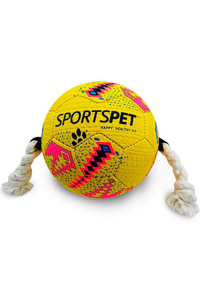 Imagen de PELOTA CON CUERDA 20CM