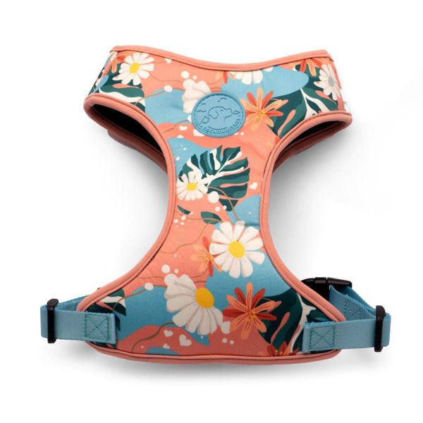 Imagen de ARNES FLOW FLORAL TALLE L - CACHORREIROS