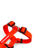 Imagen de ARNES H RED TALLE S - CACHORREIROS